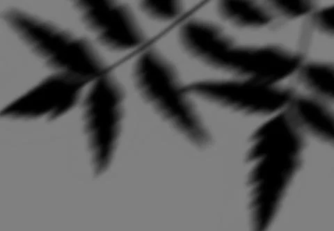 Realistic shadow transparent overlay Stock Illustration