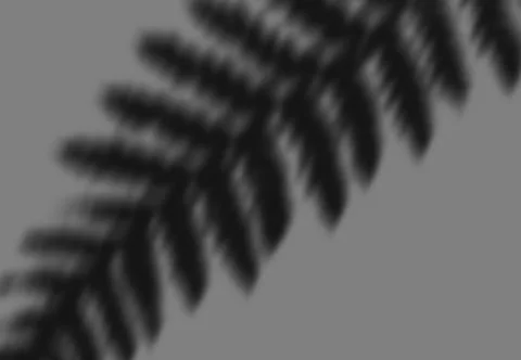 Realistic shadow transparent overlay Illustrazione stock