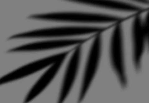 Realistic shadow transparent overlay Stock Illustration