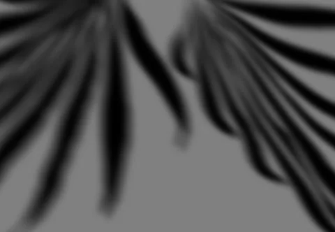 Realistic shadow transparent overlay Stock Illustration