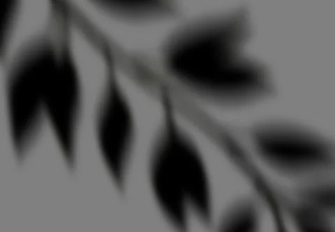 Realistic shadow transparent overlay Stock Illustration