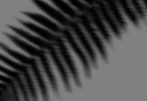 Realistic shadow transparent overlay Stock Illustration