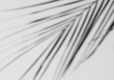 Realistic shadow transparent overlay Stock Illustration