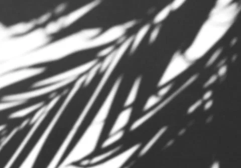 Realistic shadow transparent overlay Stock Illustration