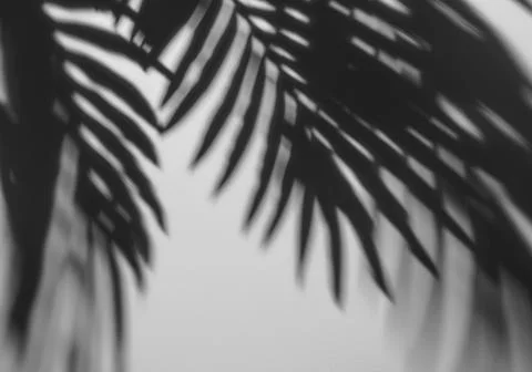 Realistic shadow transparent overlay Illustrazione stock