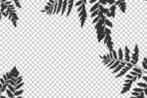 Realistic shadow transparent overlay Stock Illustration