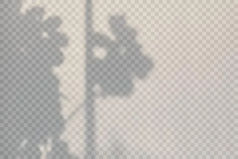 Realistic shadow transparent overlay Stock Illustration
