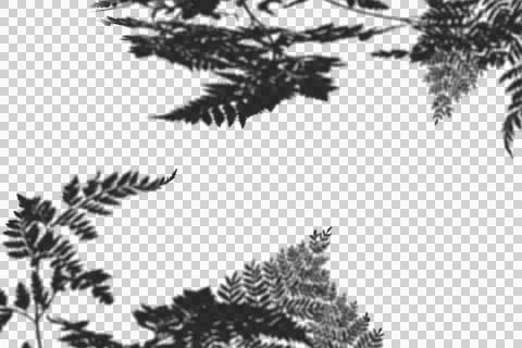 Realistic shadow transparent overlay Stock Illustration