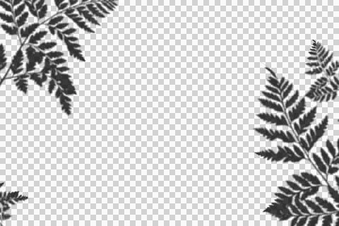 Realistic shadow transparent overlay Stock Illustration
