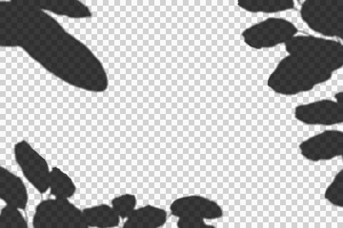 Realistic shadow transparent overlay Stock Illustration