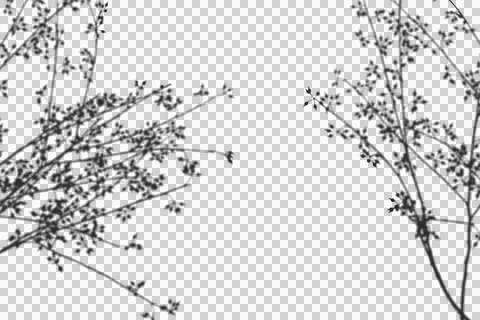 Realistic shadow transparent overlay Stock Illustration
