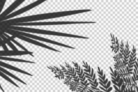 Realistic shadow transparent overlay Stock Illustration