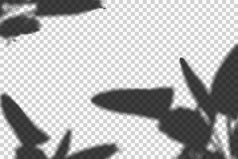 Realistic shadow transparent overlay Illustrazione stock