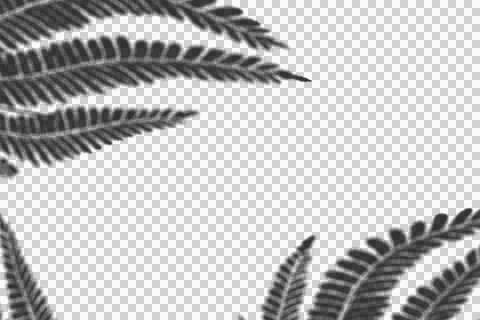 Realistic shadow transparent overlay Illustrazione stock