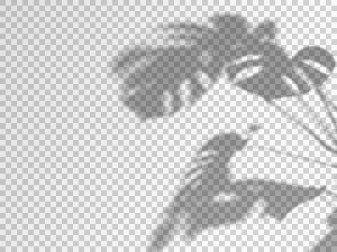 Realistic shadow transparent overlay Illustrazione stock