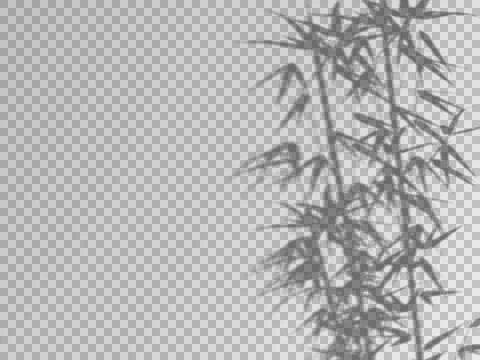 Realistic shadow transparent overlay Stock Illustration