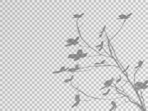 Realistic shadow transparent overlay Stock Illustration