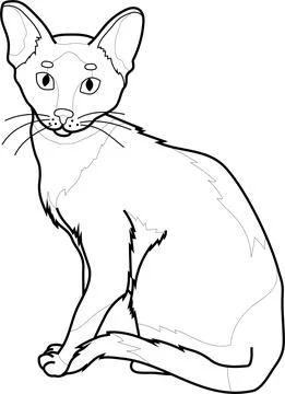 Realistic sitting cat sketch template. Cartoon graphic vector illustration Stock Illustration