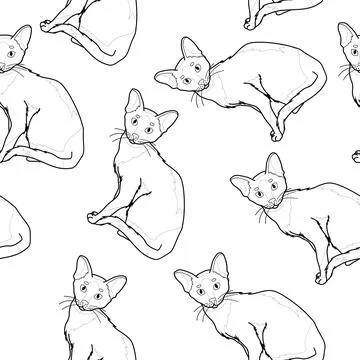 Realistic sitting cats seamless pattern sketch template Stock Illustration
