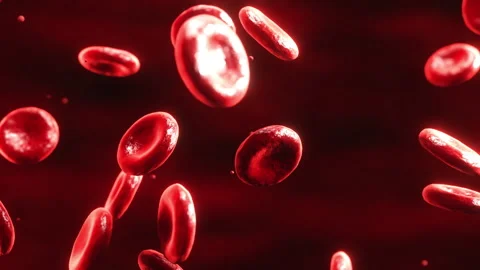 Realistic slow motion close-up of red blood cells Stock Footage 325653428
