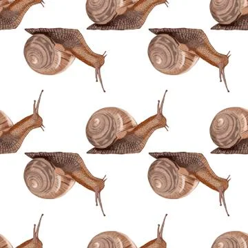 Realistic snail seamless pattern on white background - Vector Stock Illustration