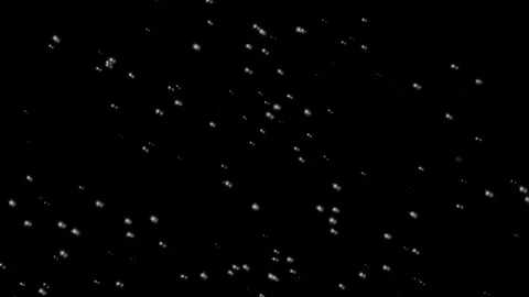Realistic snow fall seamless loop animation with black background Video stock 295931264