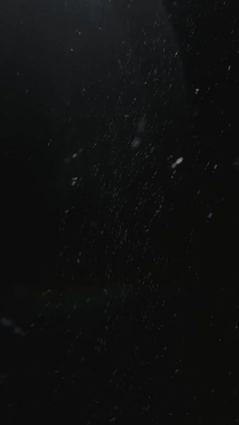 Realistic Snow Falling Animation on a Dark Background. Blurry Snow Stock Footage 307276331