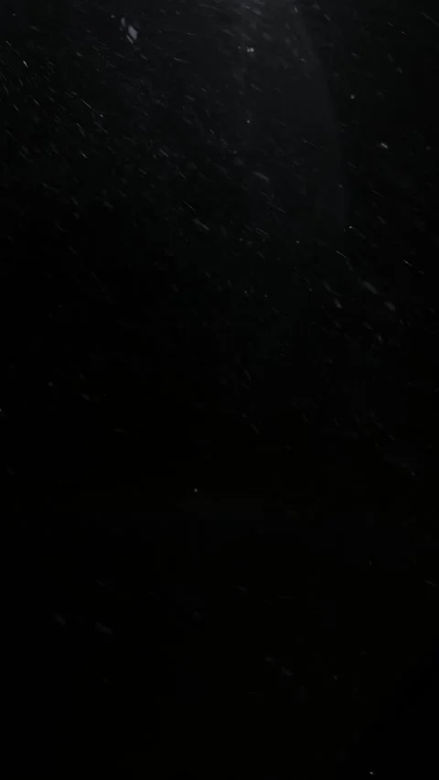 Realistic Snow Falling Animation on a Dark Background. Blurry Snow Stock Footage 311662427