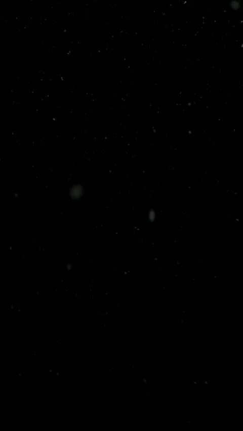 Realistic Snow Falling on a Dark Background. Blurry Snow Stock Footage 346688168
