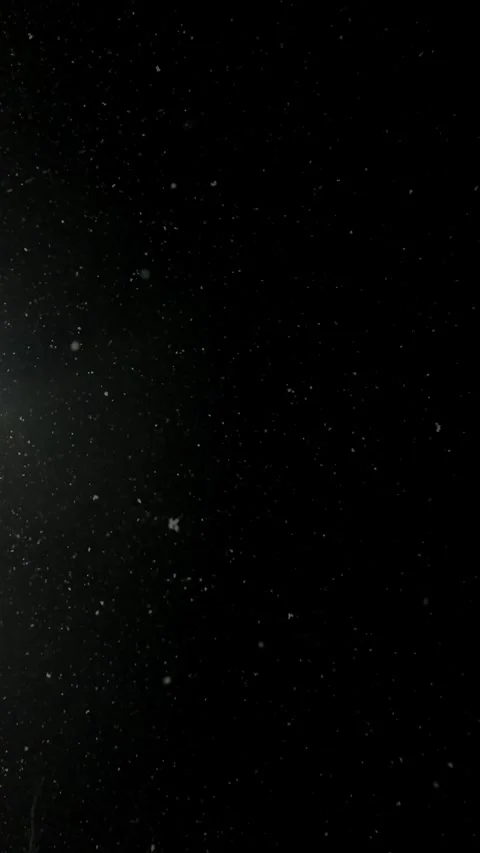 Realistic Snow Falling on a Dark Background. Blurry Snow Stock Footage 346689107