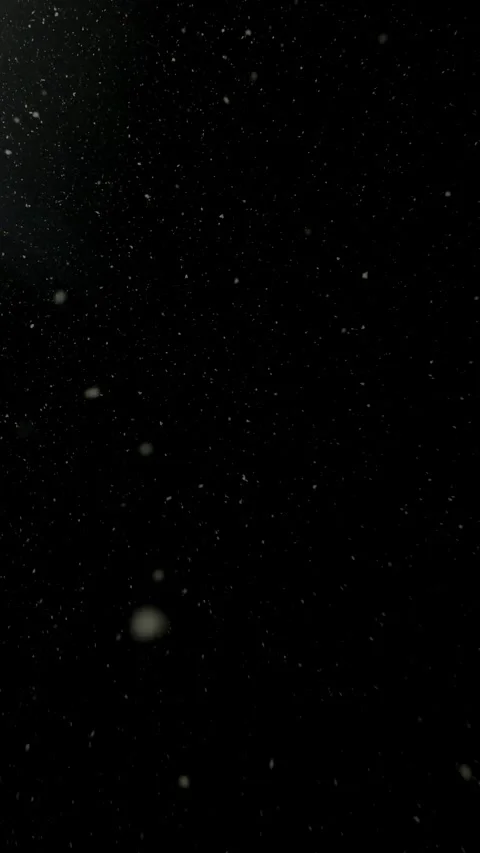 Realistic Snow Falling on a Dark Background. Blurry Snow Stock Footage 346741674
