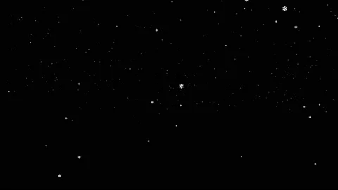 Realistic  Snow falling Stock-Footage 218984031