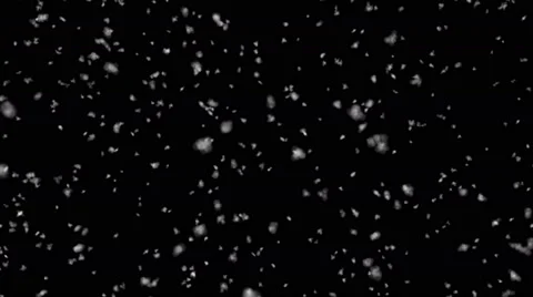 Realistic snow falling in front of black background Stock Footage 57641990