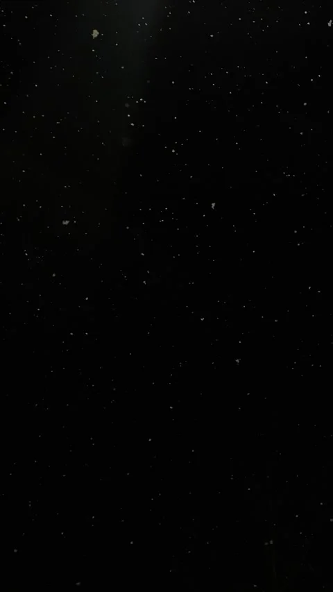 Realistic snowfall overlay, black background - winter, slowly falling snow Stock Footage 260315327