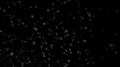 Realistic Snowfall Video Effect Black Background For Movie Scene Stock Footage 310951099