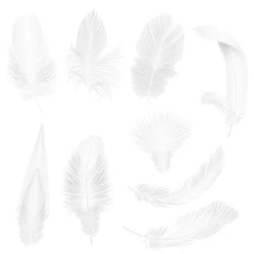 Realistic soft white feathers isolated on white vector illustration. Illustrazione stock