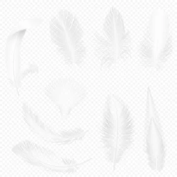 Realistic soft white feathers set on transparent alpha background vector Illustrazione stock