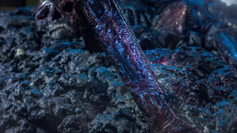 Realistic special effects makeup burn bones and skull rotate close-up props. Stock Footage 127805099
