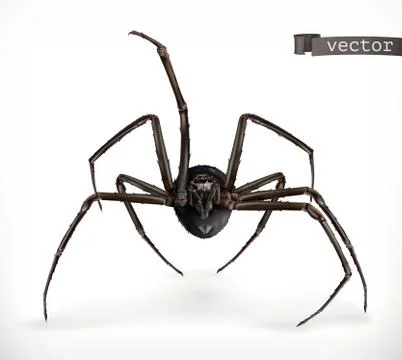 Realistic spider, Halloween 3d vector icon Иллюстрация