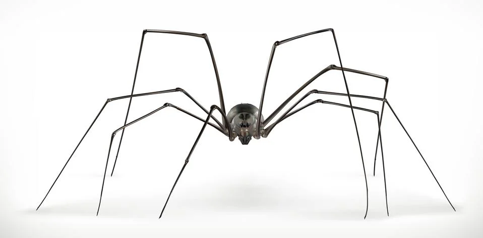 Realistic spider, halloween. 3d vector icon Stock Illustration