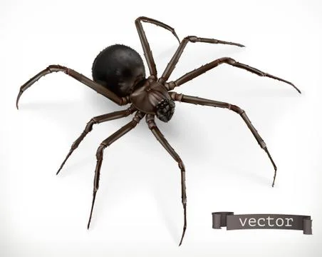 Realistic spider. Halloween 3d vector icon Stock Illustration