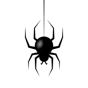 Realistic spider hanging on cobweb Stock Illustration
