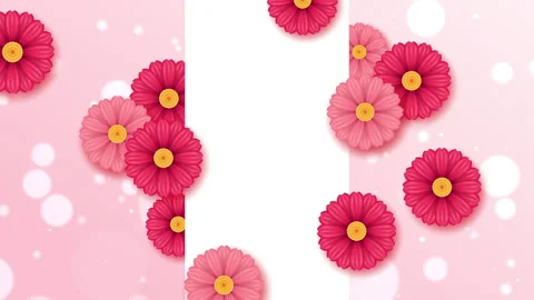 Realistic spring with particle and white background for text Stock Footage 243439144