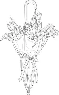 Realistic spring tulip flower bouquet in umbrella with bow sketch template. Stock Illustration