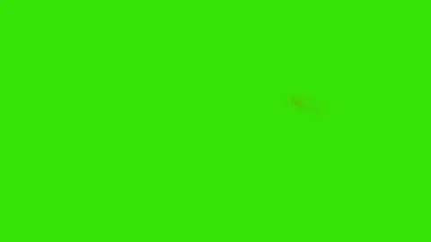 Realistic Straight gun shot muzzle flashes set Stock Footage 305789127