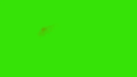 Realistic Straight gun shot muzzle flashes set Stock Footage 305789142