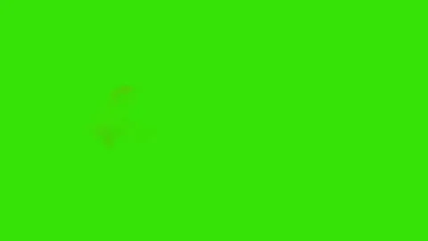 Realistic Straight gun shot muzzle flashes set Stock Footage 305789147