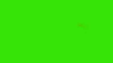 Realistic Straight gun shot muzzle flashes set Stock Footage 305789148