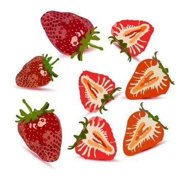 Realistic strawberry vector set, whole and halved berries with drop shadows Ilustración de archivo