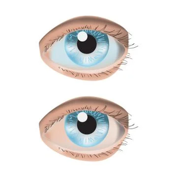 Realistic style vector illustration with 2 eyes on white background Stock Illustration